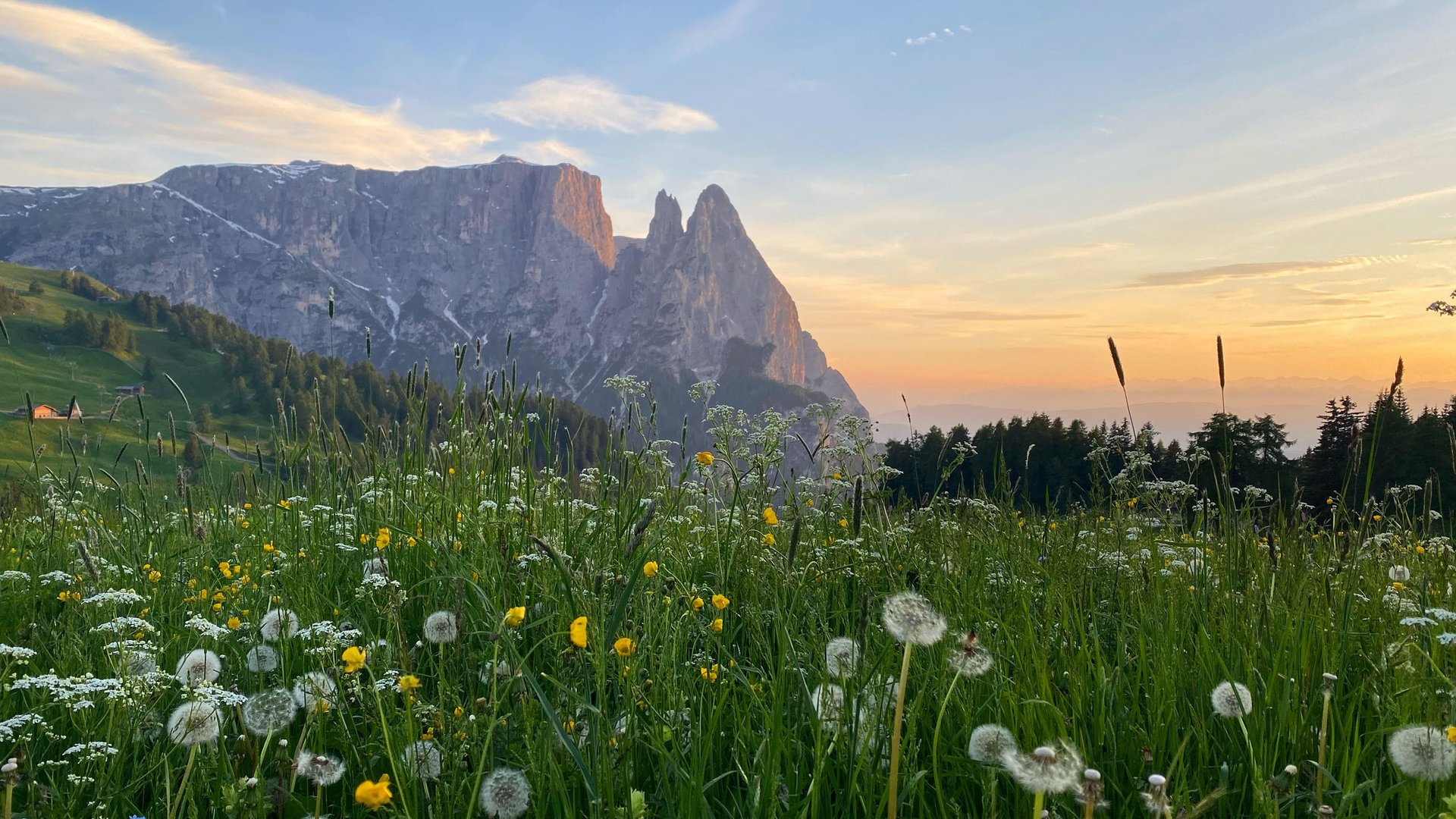 Hotel auf der Seiser Alm, in dem Hunde willkommen sind