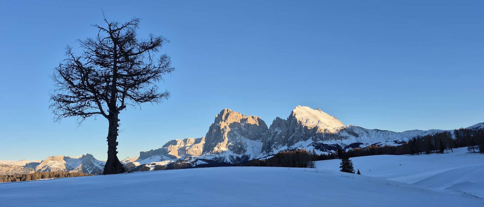 Seiser Alm: Ihre Unterkunft an der Piste Seiser Alm: Ihre Unterkunft an der Piste
