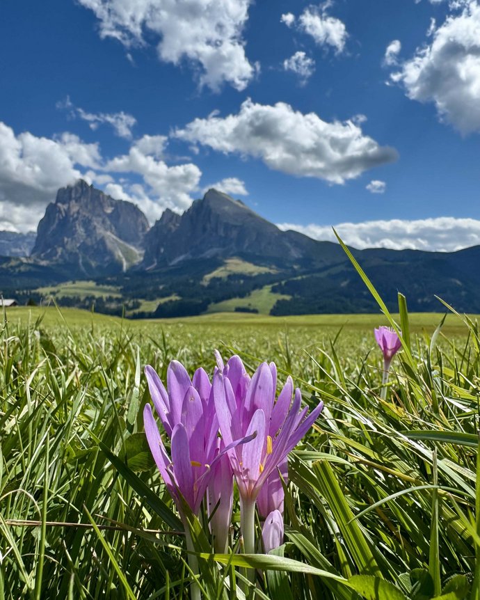 Die schönsten Fotospots der Dolomiten in Südtirol Die schönsten Fotospots der Dolomiten in Südtirol