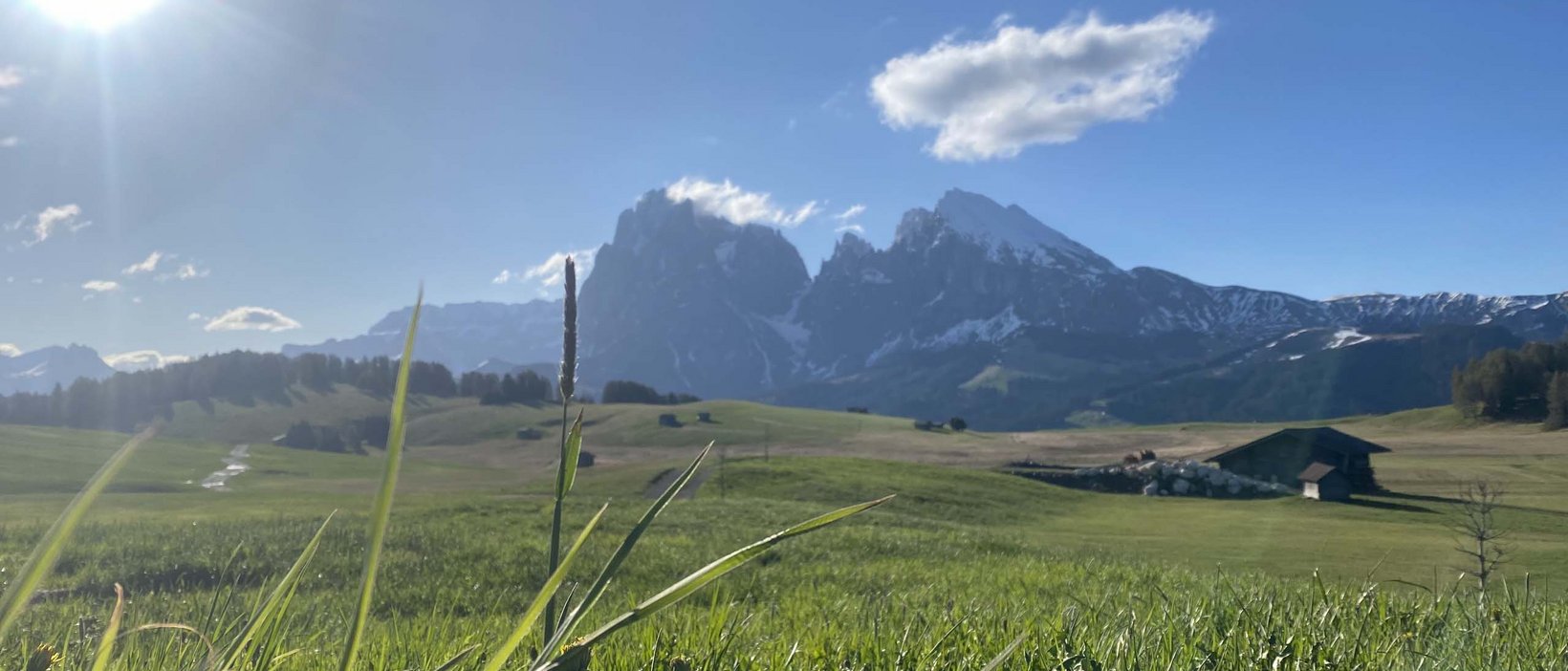 Alpe di Siusi/Seiser Alm: summer holiday Alpe di Siusi/Seiser Alm: summer holiday