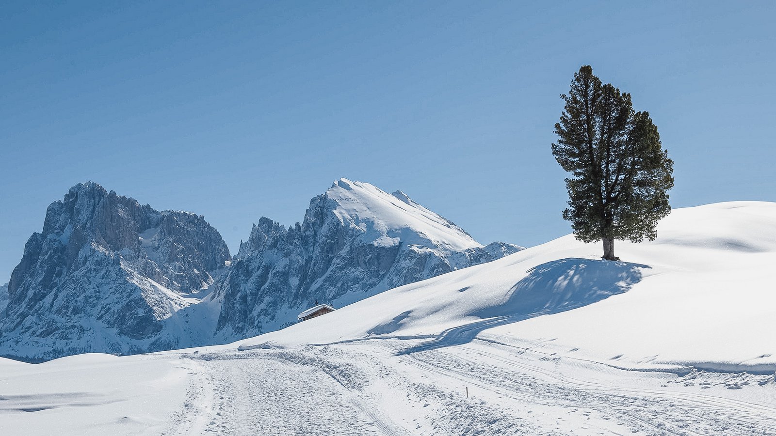 Ihre Hotels auf der Seiser Alm Ihre Hotels auf der Seiser Alm