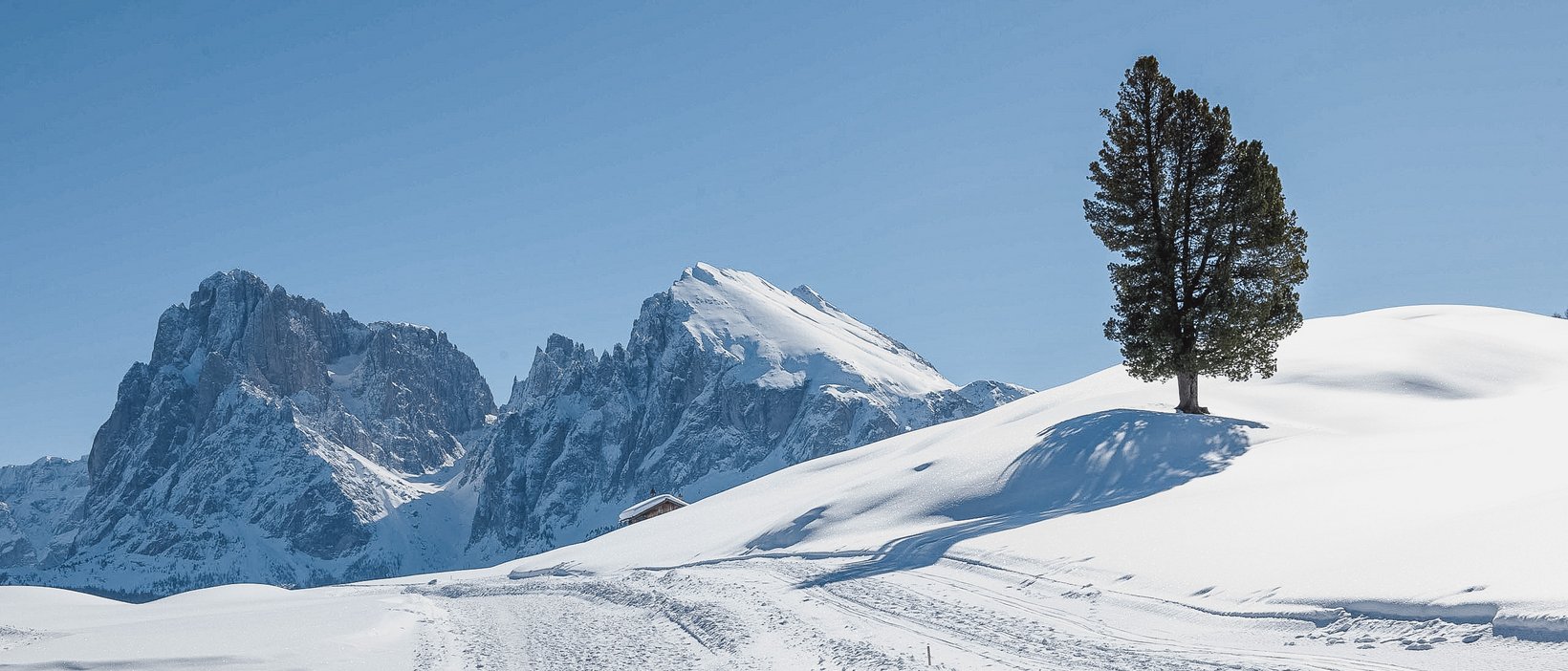 Holidays in South Tyrol: Plaza Easy Living Holidays in South Tyrol: Plaza Easy Living