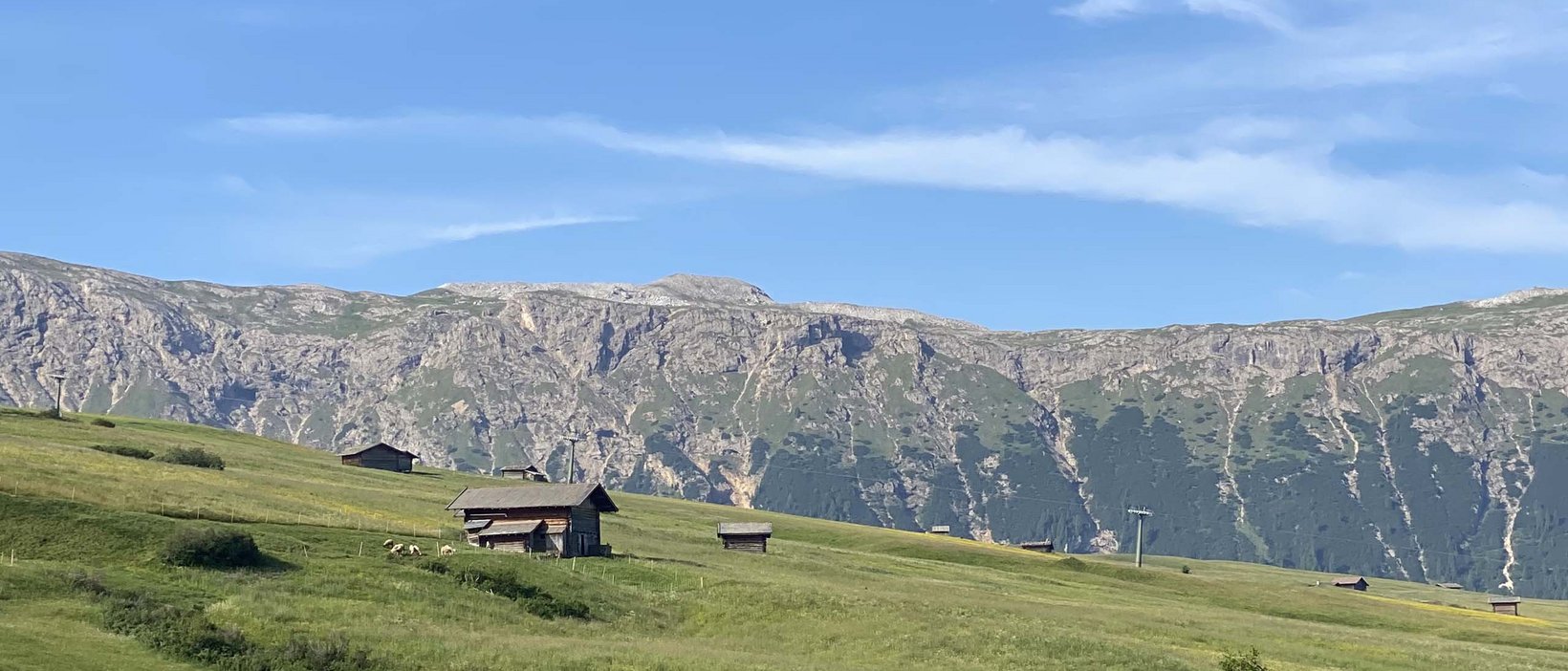 Alpe di Siusi/Seiser Alm: summer holiday Alpe di Siusi/Seiser Alm: summer holiday