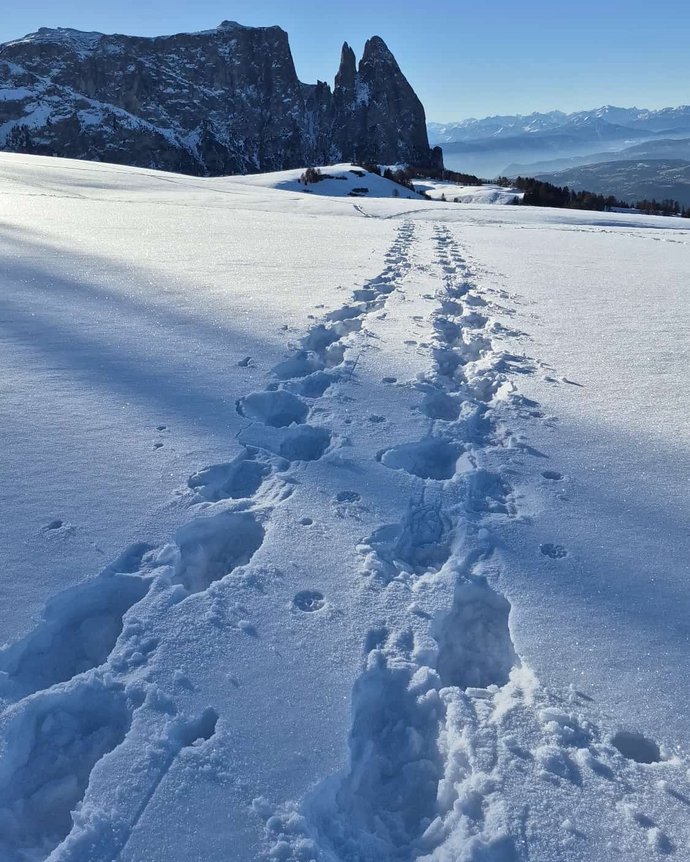 Hotel auf der Seiser Alm, in dem Hunde willkommen sind Hotel auf der Seiser Alm, in dem Hunde willkommen sind
