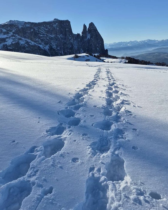 Seiser Alm: Ihre Unterkunft an der Piste Seiser Alm: Ihre Unterkunft an der Piste