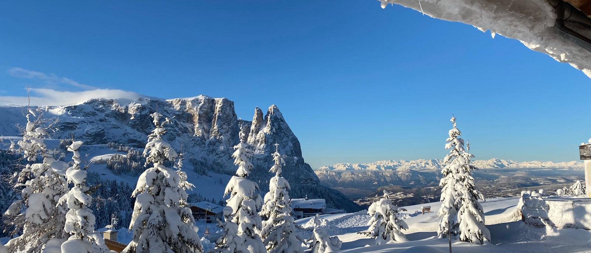 Rooms and suites in nature Rooms and suites in nature