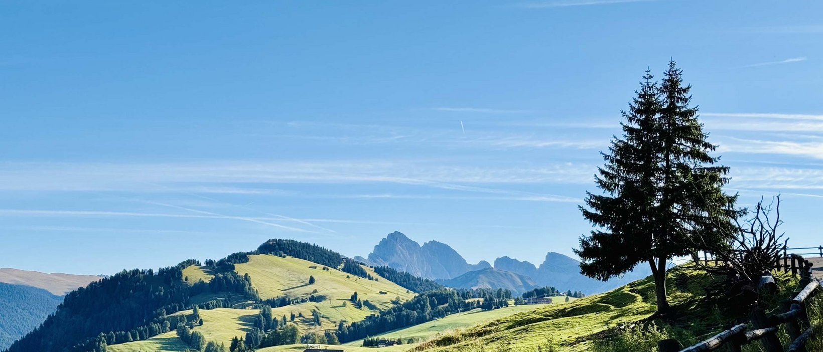 Alpe di Siusi/Seiser Alm: summer holiday Alpe di Siusi/Seiser Alm: summer holiday