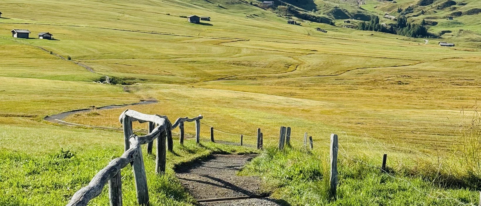 Alpe di Siusi/Seiser Alm: summer holiday Alpe di Siusi/Seiser Alm: summer holiday