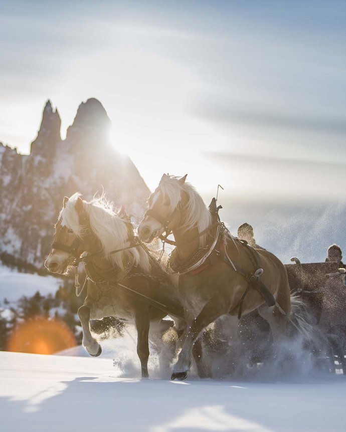 Kutschfahrt auf der Seiser Alm Kutschfahrt auf der Seiser Alm