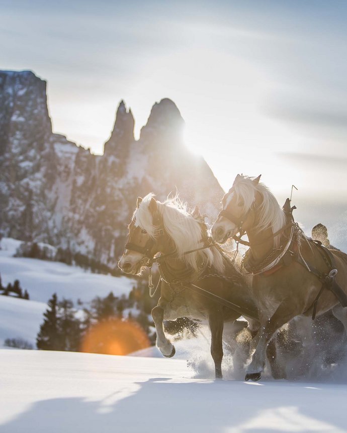 Eine unvergessliche Auszeit für Ihren Urlaub am Schlern Eine unvergessliche Auszeit für Ihren Urlaub am Schlern