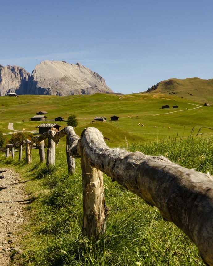 Plaza Hotel: Urlaub mit Hund auf der Seiser Alm Plaza Hotel: Urlaub mit Hund auf der Seiser Alm
