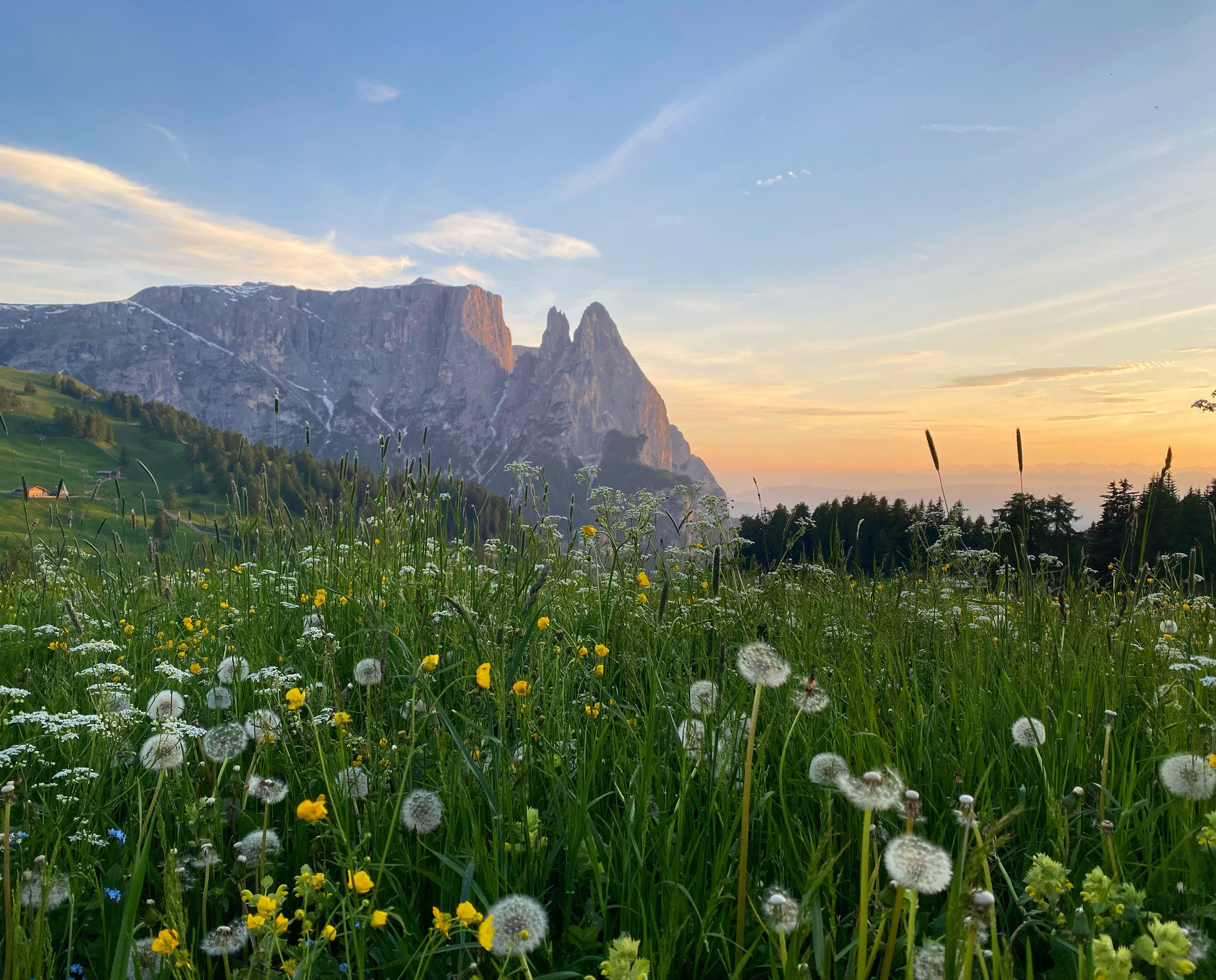 ferienwohnung auf der seiser alm